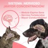 Medical Solutions Aceite de Salmon para Perros y Gatos con