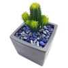 WAYBER 2 Lbs/920g Deep Blue Lapis Lazuli Pebbles Irregular Decorative