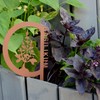 UNUS Garden Herb Stakes, Set of 10, Garden Decoration, Rust