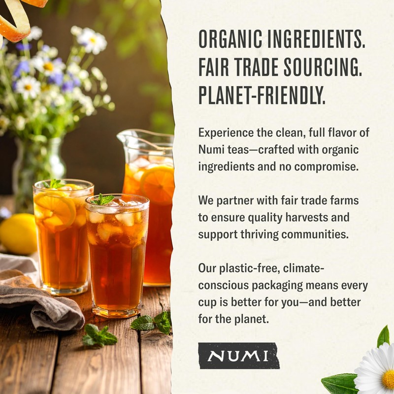 Numi Organic High Mountain Black Iced Tea, 24 Count Gallon