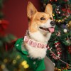 Elegant little tail Dog Collar, Christmas Pet Collar Adjustable Collar