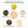 [150 Pack] Compostable No Plastic Spoons No Plastic Utensils,Biodegradable 6