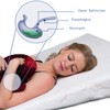 Back Support Systems Bed Wedge for Acid Reflux | Premium