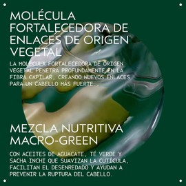 Aveda Botanical Repair Bond-Building Styling Crema de Peinado Repara