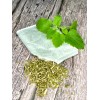 Undisclosed Catnip Tea by Palm Beach Herbals | 30ct, Caffeine-Free