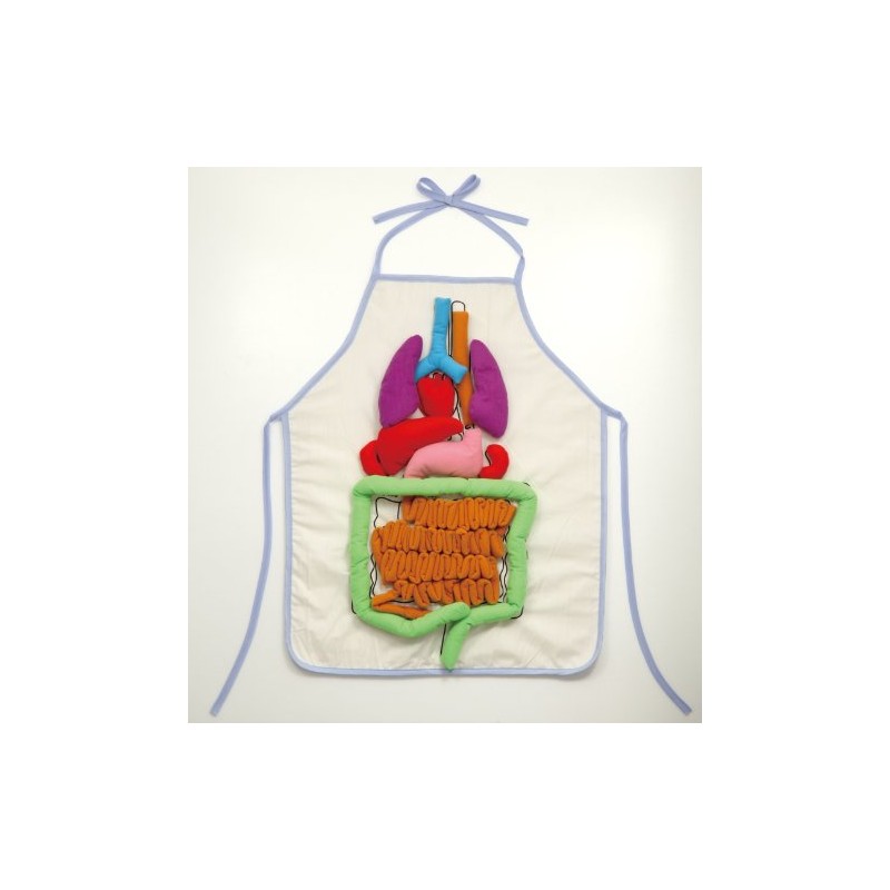 Anatomy Apron