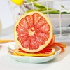 Dried Sliced Fruit Grapefruit 3.52oz DIY Snack for Sweet &