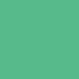 Sunday Paint, Water-based, Multipurpose, Grass Color, 3.3 gal (1/5 L)