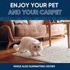 Oxy Pet Carpet Cleaner Spray | Pet Stain Remover for