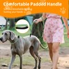 Kazazoo Slip Lead Dog Leash, No Pull Training Leash with