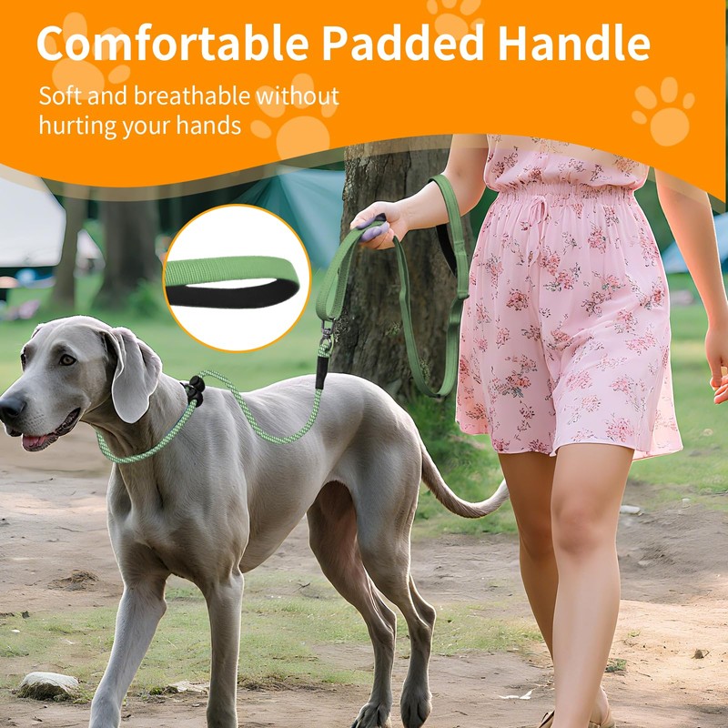 Kazazoo Slip Lead Dog Leash, No Pull Training Leash with