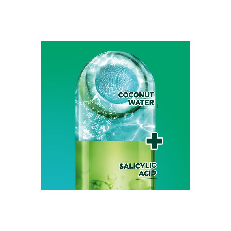 Garnier Fructis Coconut Water Shampoo 315mL
