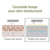ROUND LAB [ROUND LAB]Soybean Nourishing Mask (10ea)