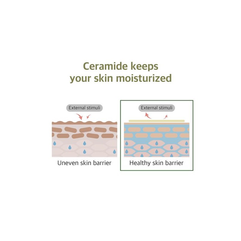 ROUND LAB [ROUND LAB]Soybean Nourishing Mask (10ea)