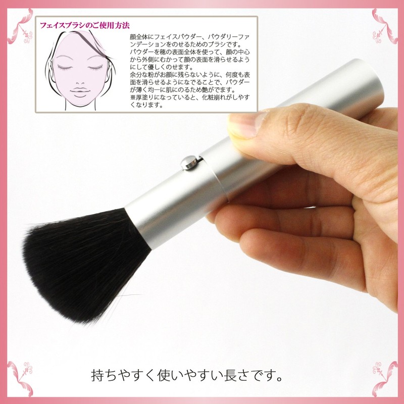 Shishida Seishindo Face Brush, Slide, Silver