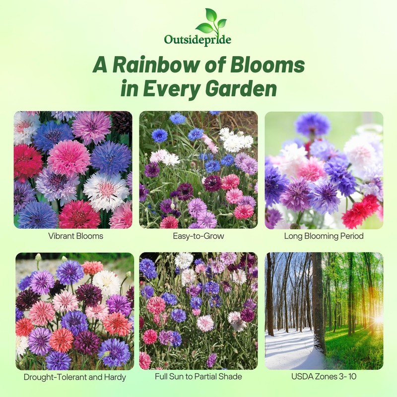 Outsidepride Dwarf Polka Dot Mix Cornflower Seeds - 1000 Pcs.