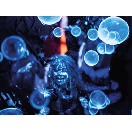 Whadda Soldering Kit Strobe with Two White LEDs