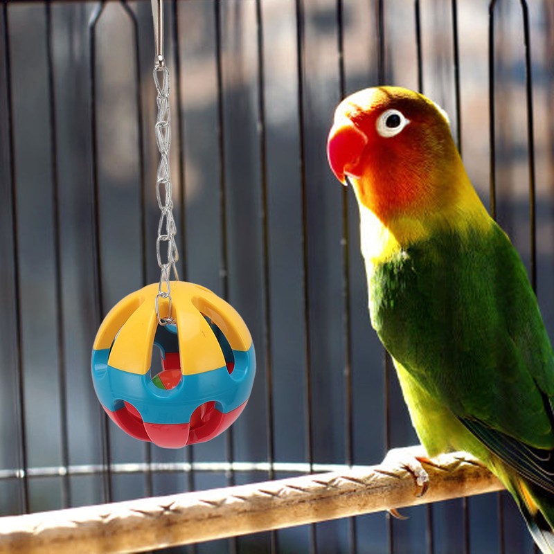 Bird Toy Set Colorful Boredom Relief Chewing Climbing Parrot Swing