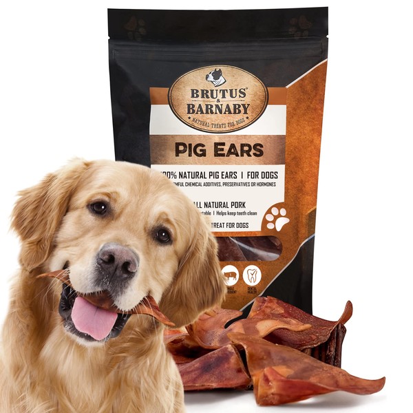 100% Natural Whole Pig Ear Dog Treat - 12 Pack