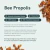 Dr Sosnowski's Hive Hero Bee Propolis, Royal Jelly, Bee Pollen