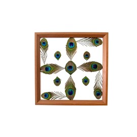 Z ZILLION CRAFT Swastika logo from Peacock feather for Vastu Sastra for home and office. Beautiful home decor gift for house warming, Vastu dosh correction and good fortune.