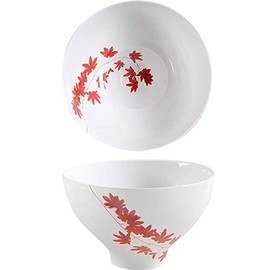 Mikasa Pure Red fine china 9-Inch salad bowl
