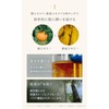 N Organic Basic Lotion (Approx. 4 Month Supply), Balancing Lotion,