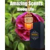 ikeda fragrance Car Air Freshener 8ml Automotive Scents | Long-Lasting