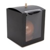 ClearBags Black Candy Apple Box with Window 4" x 4"