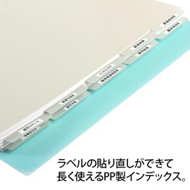 Plus Tasukea Series FL-807IS Index Sheet, Unprinted Index, 5 Stacks x 2 Pairs (10 Pieces) Gray