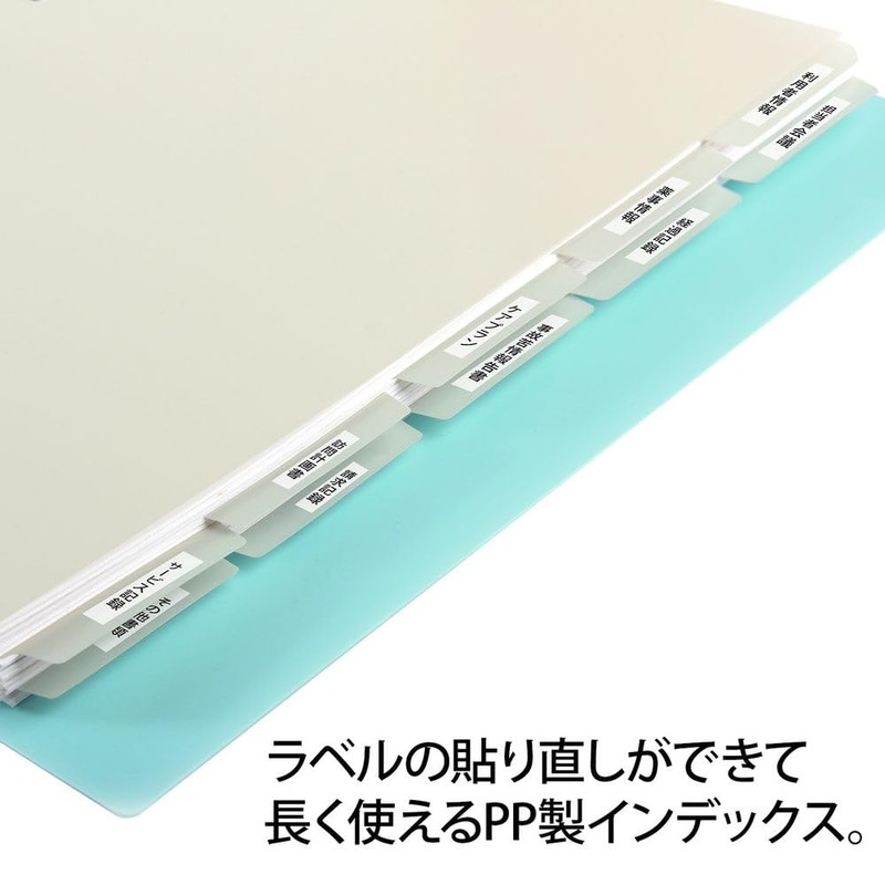 Plus Tasukea Series FL-807IS Index Sheet, Unprinted Index, 5 Stacks