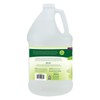 Biokleen Bac-Out Stain Remover for Clothes & Carpet - 128