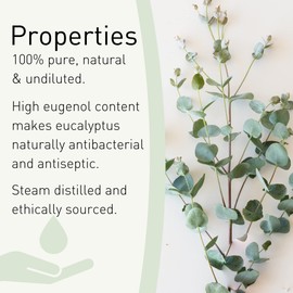 SENSOLI Eucalyptus Essential Oil 100ml - Pure and Natural Essential Oil for Aromatherapy and Diffusers