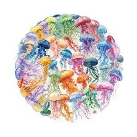 50PCS Transparent Jellyfish Stickers for Laptop,Luggage,Computer,Scrapbook,Skateboard,Suitcase,Water Bottle,Luggage,Cartoon Ocean Animal Vinyl Decal,Teens Adults Sticker,Cute Trendy Graffiti Sticker