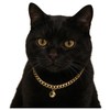 Cwyza Gold Cat Chain Collar with Removable Bell