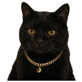 Cwyza Gold Cat Chain Collar with Removable Bell
