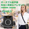 W WINBRIDGE M801 Amplifier, 20 W, Portable Amplifier, IPX6 Waterproof,