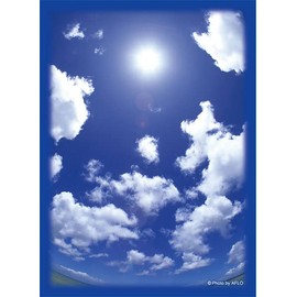 Broccoli Hybrid Sleeve "Blue Sky That Summer" 2022