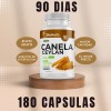Canela Ceylan 100% Pura Extremadamente Eficaz - 180 Capsulas Sin