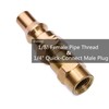 DOZYANT 12FT Propane Quick Hose Disconnect Conversion Kit for Weber
