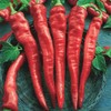 30 Semillas Chile Cayenne Pimienta Roja Nuevas Autenticas