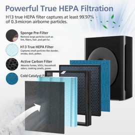 Ecofort 810GT Replacement Filter Set Compatible with Okaysou Apollo 810 GT Air Purifier, Includes 2 High-Efficiency Filters with Activated Carbon & 4 Pre-Filter, 2-Pack