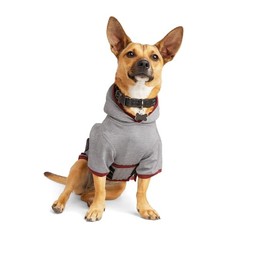 Reddy Soothing Dog Hoodie, Medium