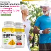 Berberina Hcl Clorhidrato Cápsulas Días Potente Formulacion Alta Concentracion Absorcion
