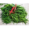 home grown Finger Hot Chilli pepper HEIRLOOM 50+ seeds 100%