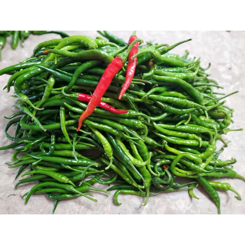 home grown Finger Hot Chilli pepper HEIRLOOM 50+ seeds 100%