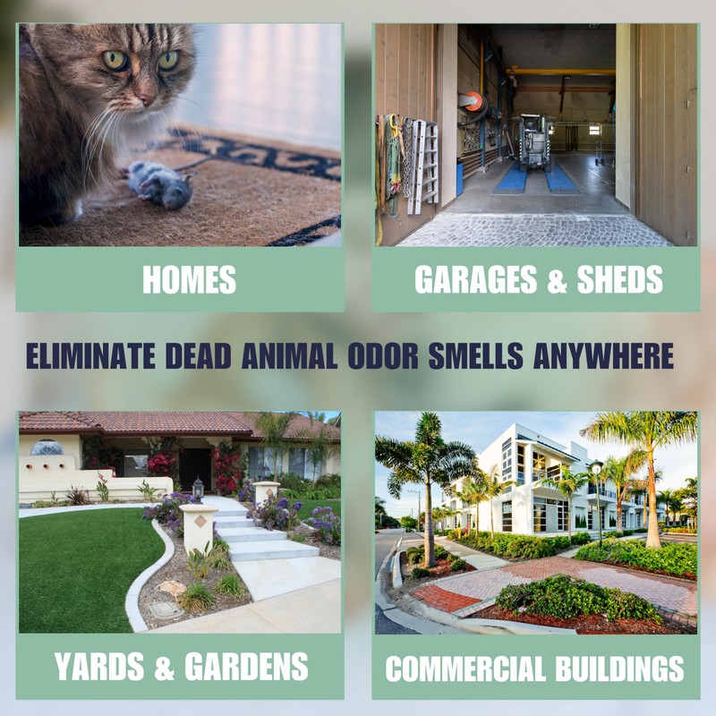 SMELLEZE Dead Animal Odor Eliminator for Home - Removes Rodent