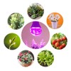 Grow Light Bulbs for Indoor Plants - Full Spectrum E26