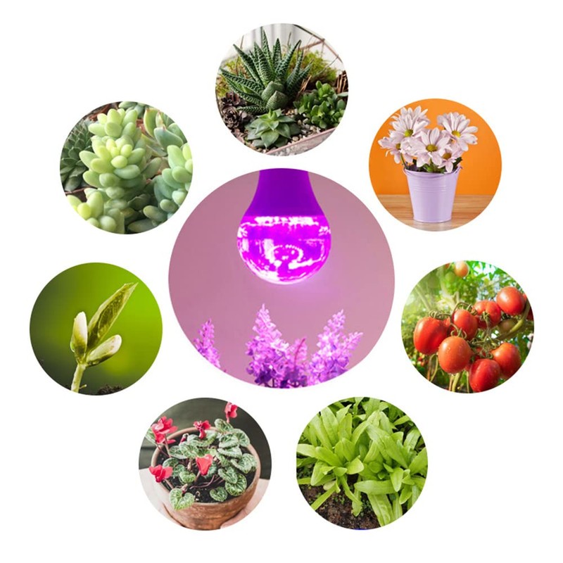 Grow Light Bulbs for Indoor Plants - Full Spectrum E26