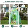 Giantex Portable Walk-in Greenhouse - 5.5x5.5x6 FT PE Cover, Roll-up